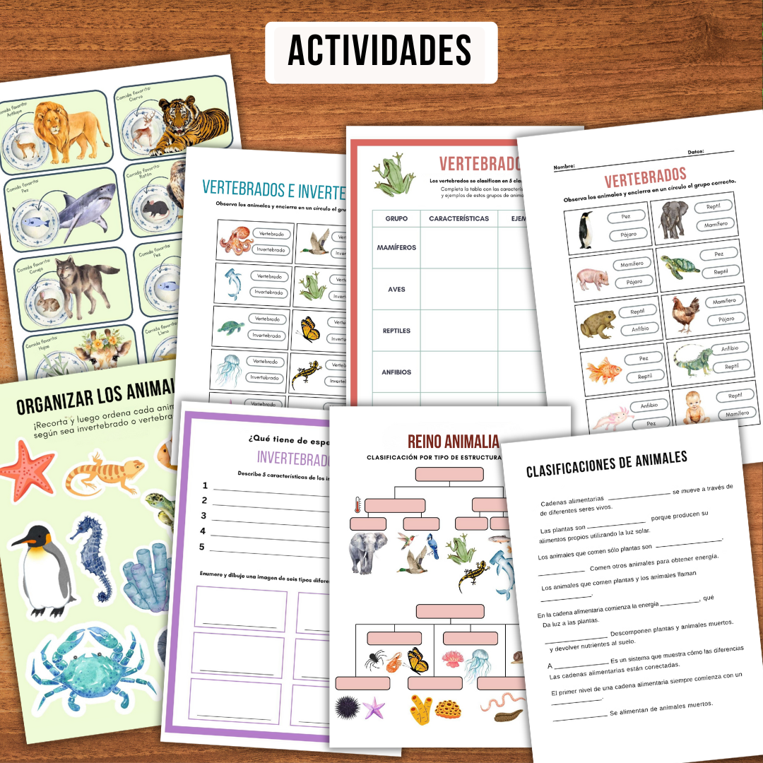 Espanhol – Espanhol