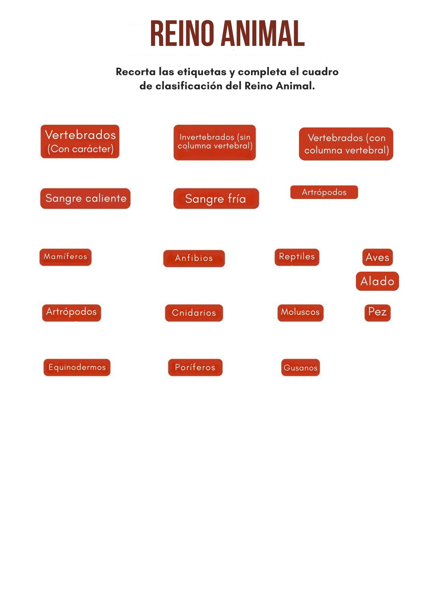 Português (Brasil) – Espanhol